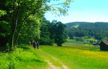 Urlaub im Bayerischen Wald